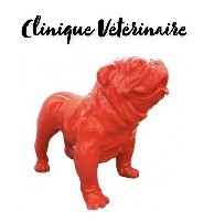 Clinique Daure